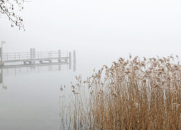 012 - keine menschen warten auf das kursschiff